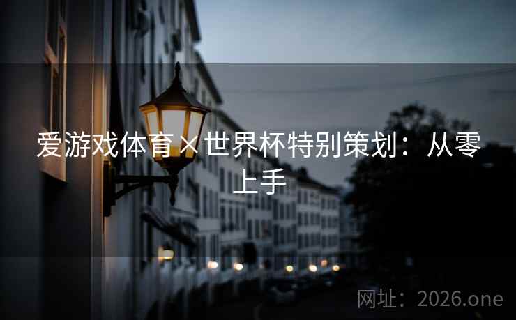 爱游戏体育×世界杯特别策划：从零上手