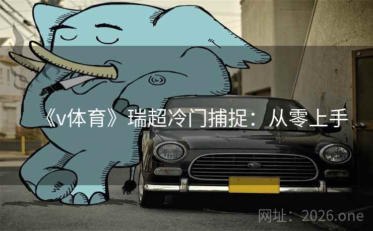 《v体育》瑞超冷门捕捉：从零上手