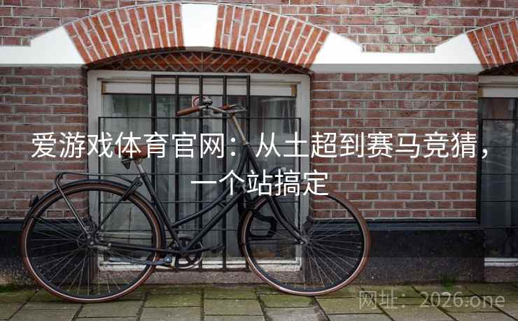 爱游戏体育官网：从土超到赛马竞猜，一个站搞定