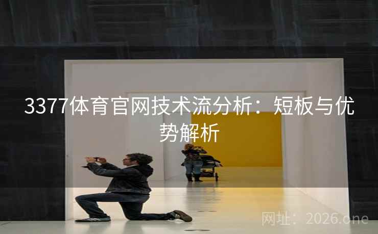 3377体育官网技术流分析：短板与优势解析