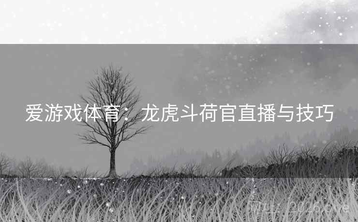 爱游戏体育：龙虎斗荷官直播与技巧