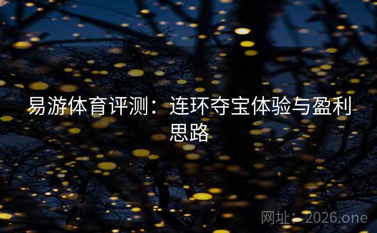 易游体育评测：连环夺宝体验与盈利思路