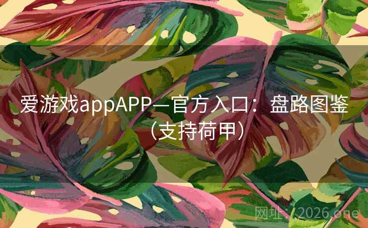 爱游戏appAPP—官方入口：盘路图鉴（支持荷甲）
