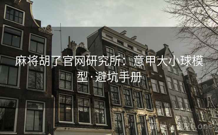 麻将胡了官网研究所：意甲大小球模型·避坑手册