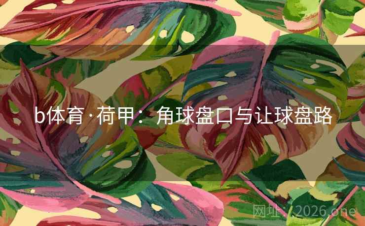 b体育·荷甲：角球盘口与让球盘路